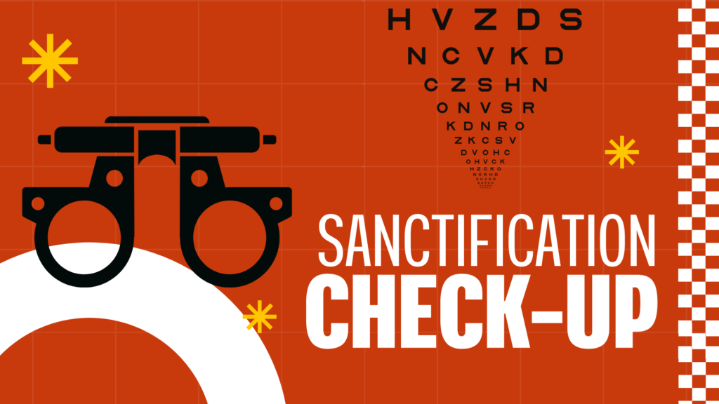 Sanctification Check-up cover image
