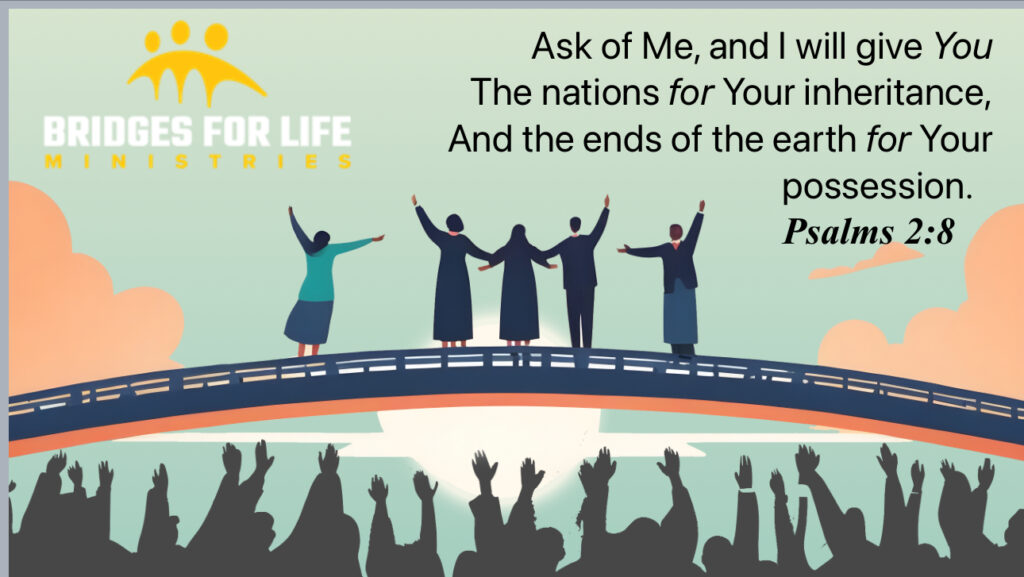 Bridges for Life Cover Image