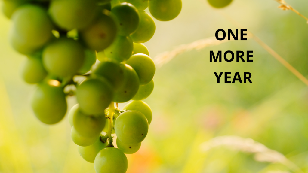 One More Year cover image