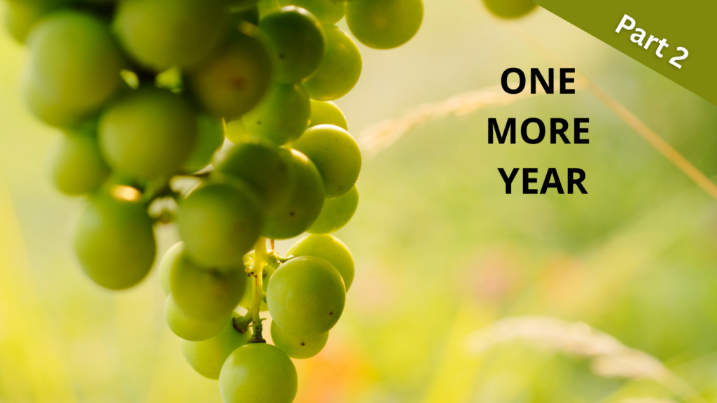 One More Year Part 2