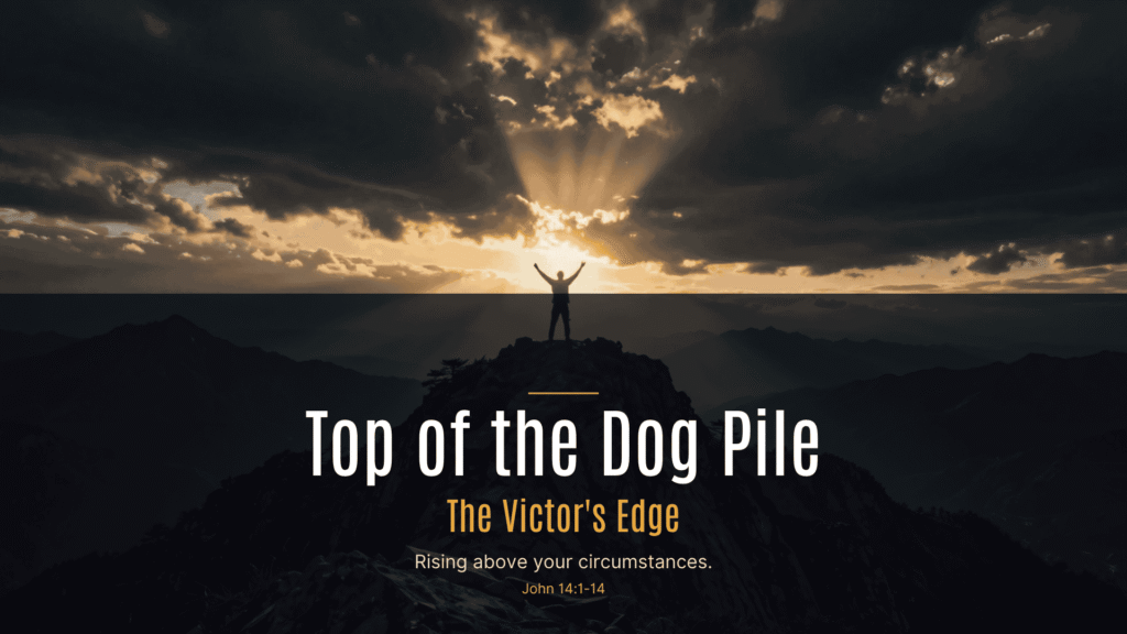 Top of the Dog Pile Cover Image