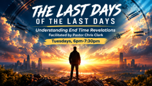 The last days of the last days cover image